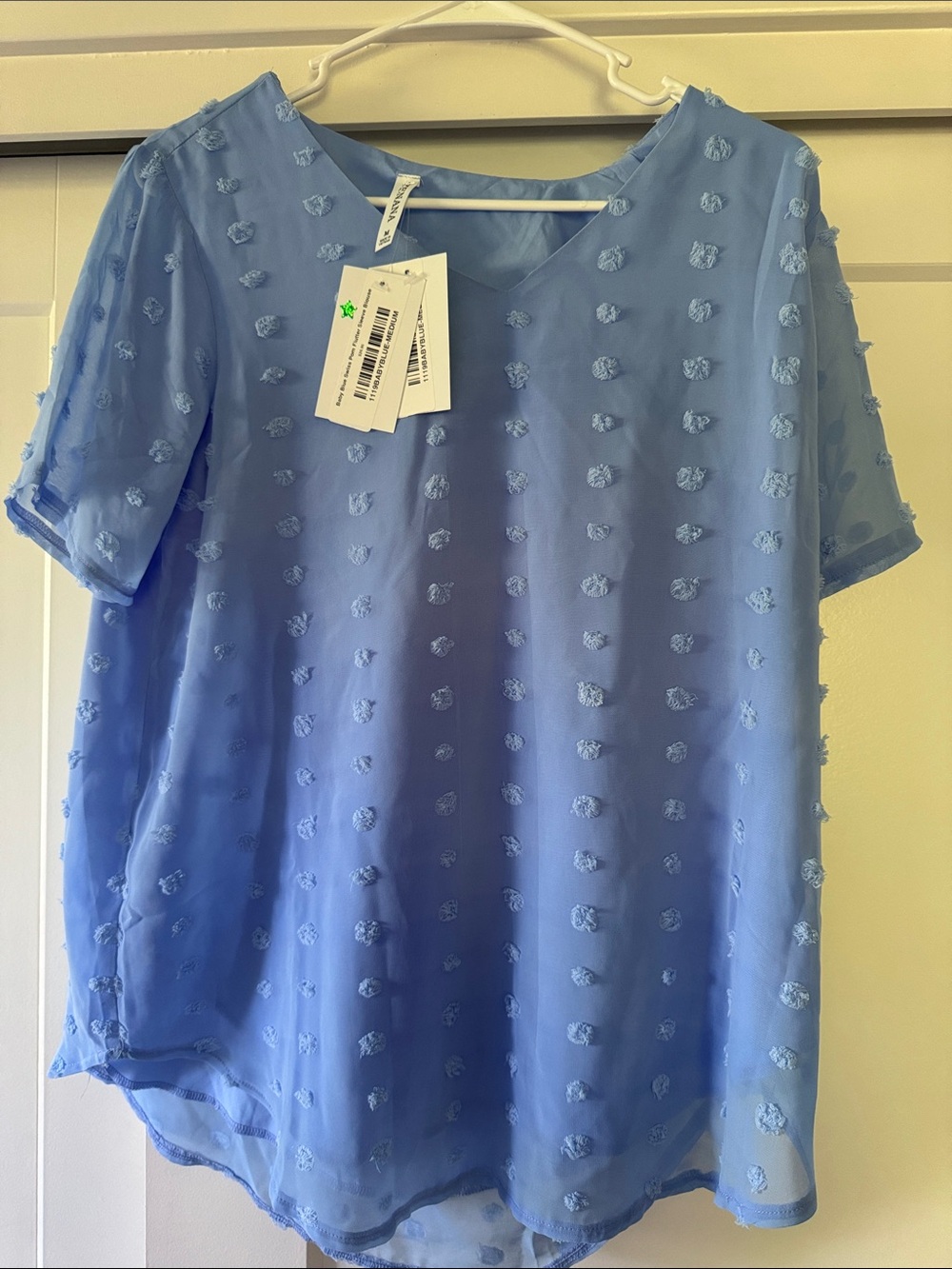 Women's Light Blue Swiss Dot V-Neck Blouse by